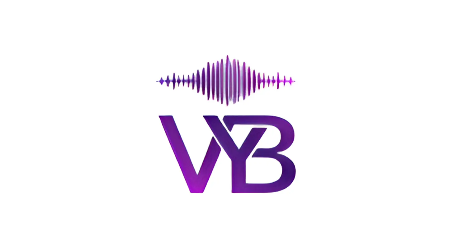 VYB1-1